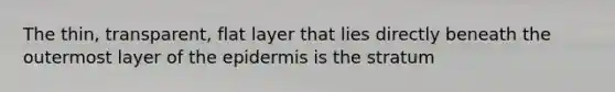 The thin, transparent, flat layer that lies directly beneath the outermost layer of the epidermis is the stratum