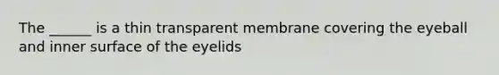 The ______ is a thin transparent membrane covering the eyeball and inner surface of the eyelids