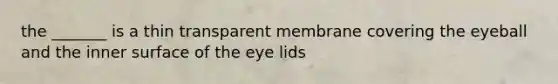 the _______ is a thin transparent membrane covering the eyeball and the inner surface of the eye lids