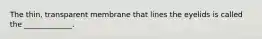 The thin, transparent membrane that lines the eyelids is called the _____________.