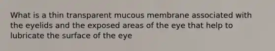 What is a thin transparent mucous membrane associated with the eyelids and the exposed areas of the eye that help to lubricate the surface of the eye