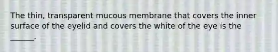 The thin, transparent mucous membrane that covers the inner surface of the eyelid and covers the white of the eye is the ______.