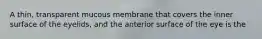 A thin, transparent mucous membrane that covers the inner surface of the eyelids, and the anterior surface of the eye is the