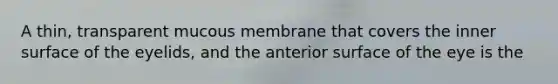 A thin, transparent mucous membrane that covers the inner surface of the eyelids, and the anterior surface of the eye is the