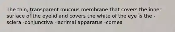 The thin, transparent mucous membrane that covers the inner surface of the eyelid and covers the white of the eye is the -sclera -conjunctiva -lacrimal apparatus -cornea