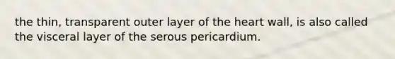 the thin, transparent outer layer of <a href='https://www.questionai.com/knowledge/kya8ocqc6o-the-heart' class='anchor-knowledge'>the heart</a> wall, is also called the visceral layer of the serous pericardium.