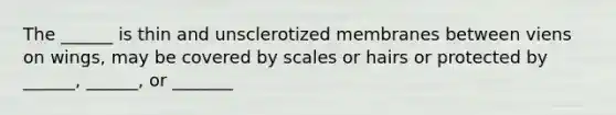 The ______ is thin and unsclerotized membranes between viens on wings, may be covered by scales or hairs or protected by ______, ______, or _______