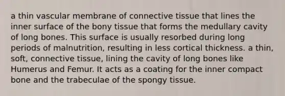 a thin vascular membrane of connective tissue that lines the inner surface of the bony tissue that forms the medullary cavity of long bones. This surface is usually resorbed during long periods of malnutrition, resulting in less cortical thickness. a thin, soft, connective tissue, lining the cavity of long bones like Humerus and Femur. It acts as a coating for the inner compact bone and the trabeculae of the spongy tissue.