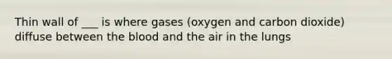 Thin wall of ___ is where gases (oxygen and carbon dioxide) diffuse between the blood and the air in the lungs