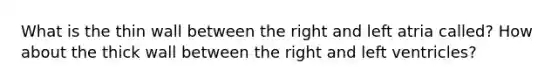 What is the thin wall between the right and left atria called? How about the thick wall between the right and left ventricles?