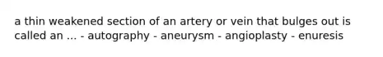 a thin weakened section of an artery or vein that bulges out is called an ... - autography - aneurysm - angioplasty - enuresis