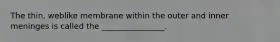 The thin, weblike membrane within the outer and inner meninges is called the ________________.