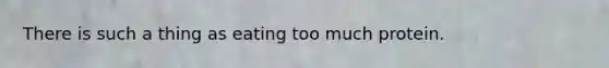 There is such a thing as eating too much protein.