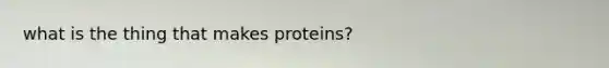 what is the thing that makes proteins?