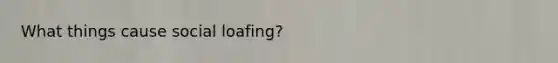 What things cause social loafing?