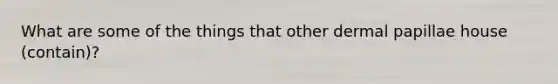 What are some of the things that other dermal papillae house (contain)?