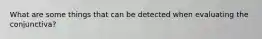 What are some things that can be detected when evaluating the conjunctiva?