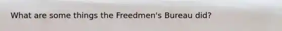 What are some things the Freedmen's Bureau did?