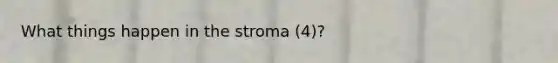 What things happen in the stroma (4)?