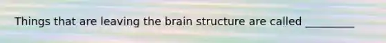 Things that are leaving <a href='https://www.questionai.com/knowledge/kLMtJeqKp6-the-brain' class='anchor-knowledge'>the brain</a> structure are called _________