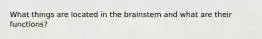 What things are located in the brainstem and what are their functions?