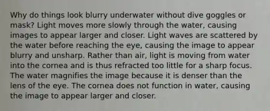 Why do things look blurry underwater without dive goggles or mask? Light moves more slowly through the water, causing images to appear larger and closer. Light waves are scattered by the water before reaching the eye, causing the image to appear blurry and unsharp. Rather than air, light is moving from water into the cornea and is thus refracted too little for a sharp focus. The water magnifies the image because it is denser than the lens of the eye. The cornea does not function in water, causing the image to appear larger and closer.