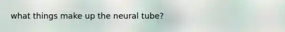 what things make up the neural tube?