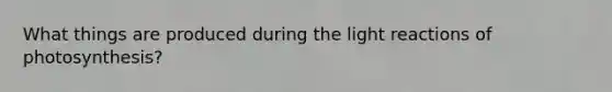 What things are produced during the light reactions of photosynthesis?