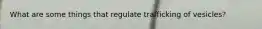 What are some things that regulate trafficking of vesicles?