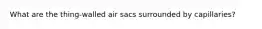 What are the thing-walled air sacs surrounded by capillaries?