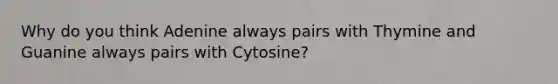 Why do you think Adenine always pairs with Thymine and Guanine always pairs with Cytosine?