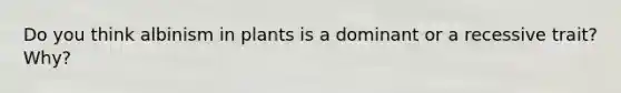 Do you think albinism in plants is a dominant or a recessive trait? Why?