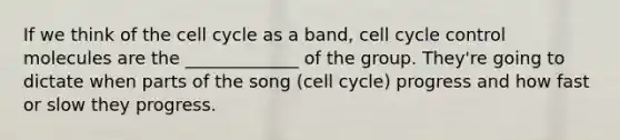 If we think of the cell cycle as a band, cell cycle control molecules are the _____________ of the group. They're going to dictate when parts of the song (cell cycle) progress and how fast or slow they progress.