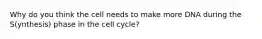 Why do you think the cell needs to make more DNA during the S(ynthesis) phase in the cell cycle?