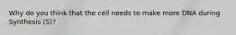 Why do you think that the cell needs to make more DNA during Synthesis (S)?