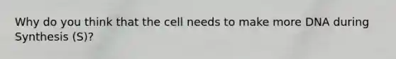 Why do you think that the cell needs to make more DNA during Synthesis (S)?