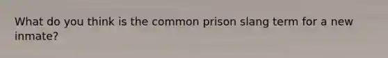 What do you think is the common prison slang term for a new inmate?