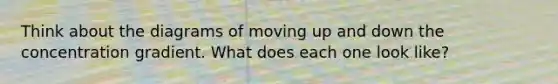 Think about the diagrams of moving up and down the concentration gradient. What does each one look like?