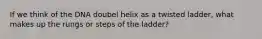 If we think of the DNA doubel helix as a twisted ladder, what makes up the rungs or steps of the ladder?