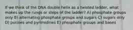 If we think of the DNA double helix as a twisted ladder, what makes up the rungs or steps of the ladder? A) phosphate groups only B) alternating phosphate groups and sugars C) sugars only D) purines and pyrimidines E) phosphate groups and bases