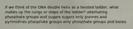 If we think of the DNA double helix as a twisted ladder, what makes up the rungs or steps of the ladder? alternating phosphate groups and sugars sugars only purines and pyrimidines phosphate groups only phosphate groups and bases