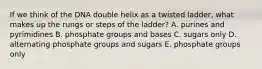 If we think of the DNA double helix as a twisted ladder, what makes up the rungs or steps of the ladder? A. purines and pyrimidines B. phosphate groups and bases C. sugars only D. alternating phosphate groups and sugars E. phosphate groups only