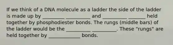 If we think of a DNA molecule as a ladder the side of the ladder is made up by _________ __________ and __________ _______ held together by phosphodiester bonds. The rungs (middle bars) of the ladder would be the __________ __________. These "rungs" are held together by _____________ bonds.