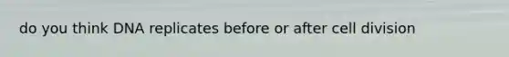 do you think DNA replicates before or after cell division