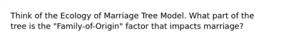 Think of the Ecology of Marriage Tree Model. What part of the tree is the "Family-of-Origin" factor that impacts marriage?