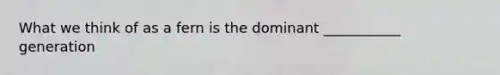 What we think of as a fern is the dominant ___________ generation