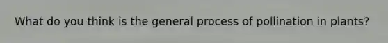 What do you think is the general process of pollination in plants?