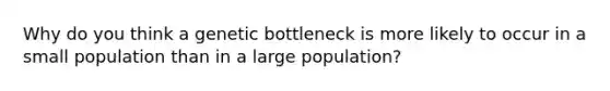 Why do you think a genetic bottleneck is more likely to occur in a small population than in a large population?