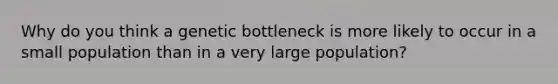 Why do you think a genetic bottleneck is more likely to occur in a small population than in a very large population?