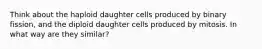 Think about the haploid daughter cells produced by binary fission, and the diploid daughter cells produced by mitosis. In what way are they similar?